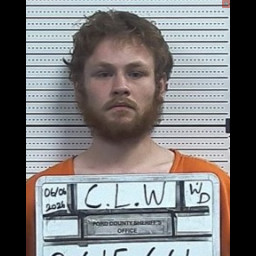Image for Craig, Lucas  Wayne  - CRIMINAL THREAT