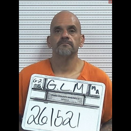 Image for Guillen, Lance Martin  - THEFT