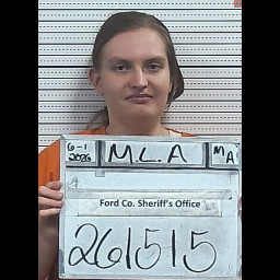 Image for Maas, Adriana Lynn  - PROBATION  VIOLATION