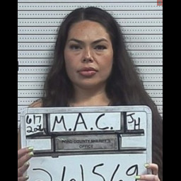 Image for Medina, Audrey Celia  - VARIOUS CHARGES