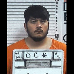 Image for Ortiz, Cesar   - VARIOUS CHARGES