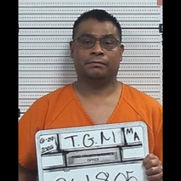Image for Teletor Gutierrez, Manuel   - VARIOUS CHARGES