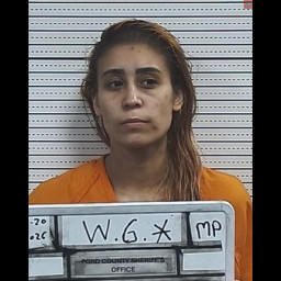 Image for Walters, Gabriela   - VARIOUS CHARGES