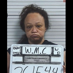 Image for WARREN, MELISA CAROL  - CRIMINAL DAMAGE