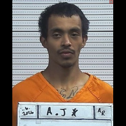 Image for Alarcon, Jonathan   - VARIOUS CHARGES
