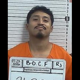 Image for Barrientos Ojeda, Cristian Fredy  - PROBATION  VIOLATION