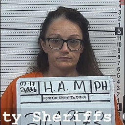 Image for Hiner, Alison   - PROBATION  VIOLATION
