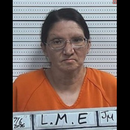 Image for Long, Maria  Elena  - PROBATION  VIOLATION