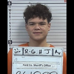 Image for Rodriguez Gonzalez, Henry Junior  - PROBATION  VIOLATION