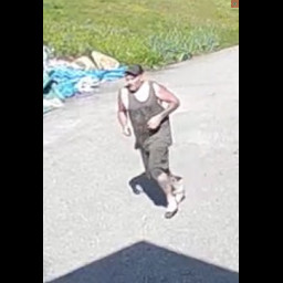 Image for Bow Police Department: Theft/Conduct After/Attempt to ID