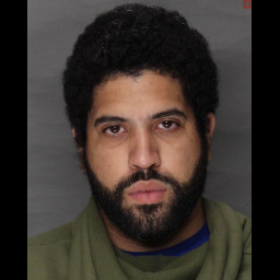 Image for Rodriguez, Carlos   - EVADING ARREST OR DETENTION ON FOOT and 1 additional charge