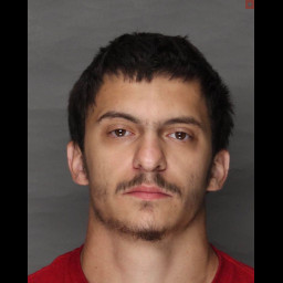 Image for Davis, Austin   - SIMPLE ASSAULT (DOMESTIC VIOLENCE)