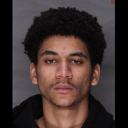 Image for Ortiz-Febres, Gabriel   - FAILURE TO COMPLY WITH REGISTRATION REQUIREMENTS