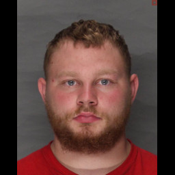 Image for Kreiser, Alex   - THEFT OF LEASED PROPERTY