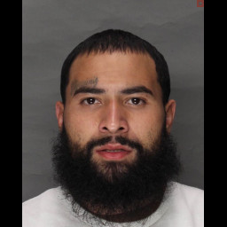 Image for Plaza, Anthony   - POSSESSION OF FIREARM PROHIBITED and 2 additional charges