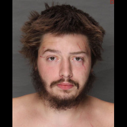 Image for Warfield, Cody Michael  - SIMPLE ASSAULT (DOMESTIC VIOLENCE)
