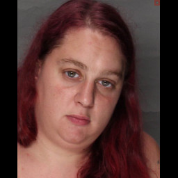 Image for Fidler, Danielle Lynn  - SIMPLE ASSAULT (DOMESTIC VIOLENCE)