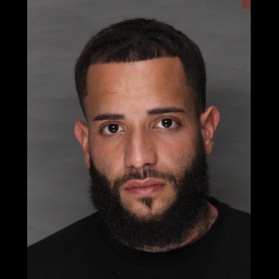 Image for Ocasio-Cotto, Gadiel   - SIMPLE ASSAULT (DOMESTIC VIOLENCE) and 1 additional charge