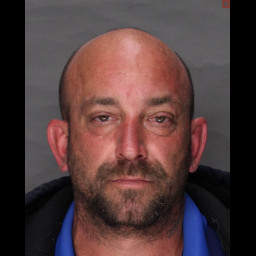 Image for Jones, Joseph Eugene  - THEFT BY UNLAWFUL TAKING and 1 additional charge