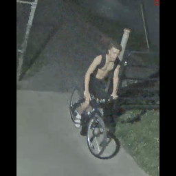 Image for Theft of Prop Lost/Mislaid