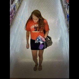Image for Retail Theft
