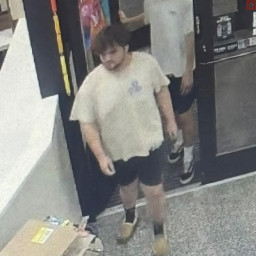 Image for Announcement: Suspect Wanted for Theft