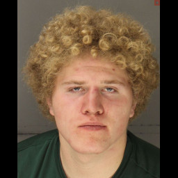 Image for Peacock, Karter   - 18 3304 A5 CRIMINAL MISCHIEF