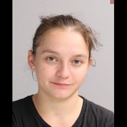Image for Hunsinger, Mary Rose  - 18 4905(A) FALSE ALARMS TO AGENCIES OF PUBLIC SAFETY and 6 additional charges