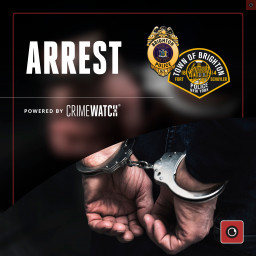 Image for Assault Arrest