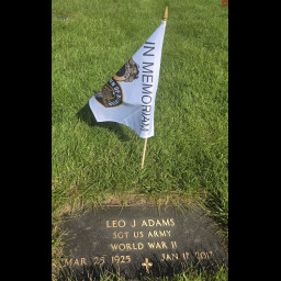 Leo Adams1.jpg