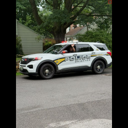 Image for Virginia Colony Neighborhood Parade