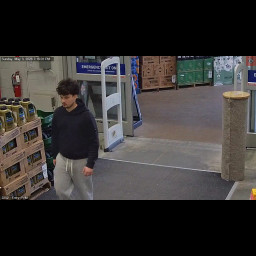 Image for RETAIL THEFT