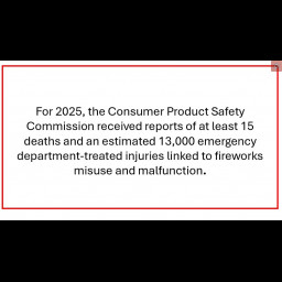 fireworks deaths 2025.jpg