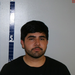 Image for Carillo-Hernandez, Octavio  Jr. - OPERATE A MOTOR VEHICLE WITHOUT A VALID LICENSE and 2 additional charges