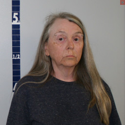 Image for Toth, Darlene J  - POSSESSION OF MARIJUANA and 2 additional charges