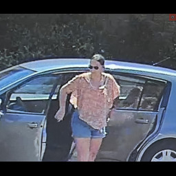 Image for WAWA Retail Theft Investigation – Adult Suspect Allegedly Using Children to Facilitate Theft