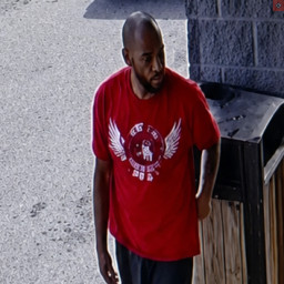 Image for Community Assistance Requested – Theft Investigation