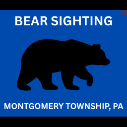 Image for BEAR SIGHTING - MONTGOMERY TOWNSHIP