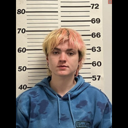 Image for Cheshire, Emylee Elizabeth  - PAROLE/PROBATION VIOLATION