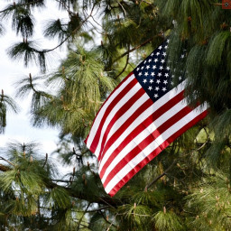 Image for Flag Day