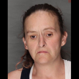 Image for KAFADER, LISA M  - (18) 3929 (A1) RETAIL THEFT (F3) and 1 additional charge