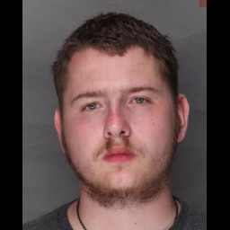 Image for PRICE, MICHAEL PATRICK  - (18) 5503 (A4) DISORDERLY CONDUCT (M3) and 1 additional charge