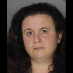 Image for SHERTZER, ANDREA NICOLE  - (18) 3921 (A) THEFT BY UNLAWFUL TAKING OR DISPOSITION (M1) and 1 additional charge