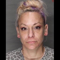 Image for Long, Janelle Nicole  - (75) 3928 (A) UNAUTHORIZED USE OF A MOTOR VEHICLE (M2) and 1 additional charge