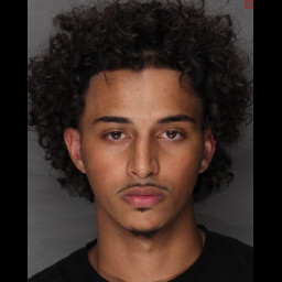 Image for Hassan, Jasser M  - (18) 3929 (A1) RETAIL THEFT (S)