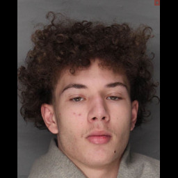 Image for Pinero, Josayah   - (18) 5104.2 EVADING ARREST OR DETENTION ON FOOT and 5 additional charges