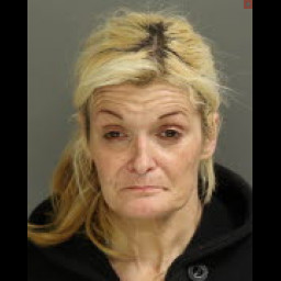 Photo of Hoke, Lori Ann 