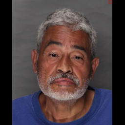 Image for Garcia, Carlos Ruben  - (18) 3921 (A1) RETAIL THEFT