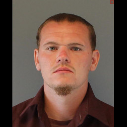 Image for BRESLIN, MICHAEL JOSEPH  - (75) 3733(A) FLEEING OR ATTEMPTING TO ELUDE POLICE OFFICER (M2) and 5 additional charges