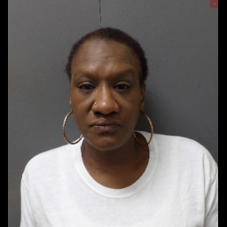 Image for Carreker, Latoyia   - CRIMINAL CONTEMPT 1ST and 2 additional charges